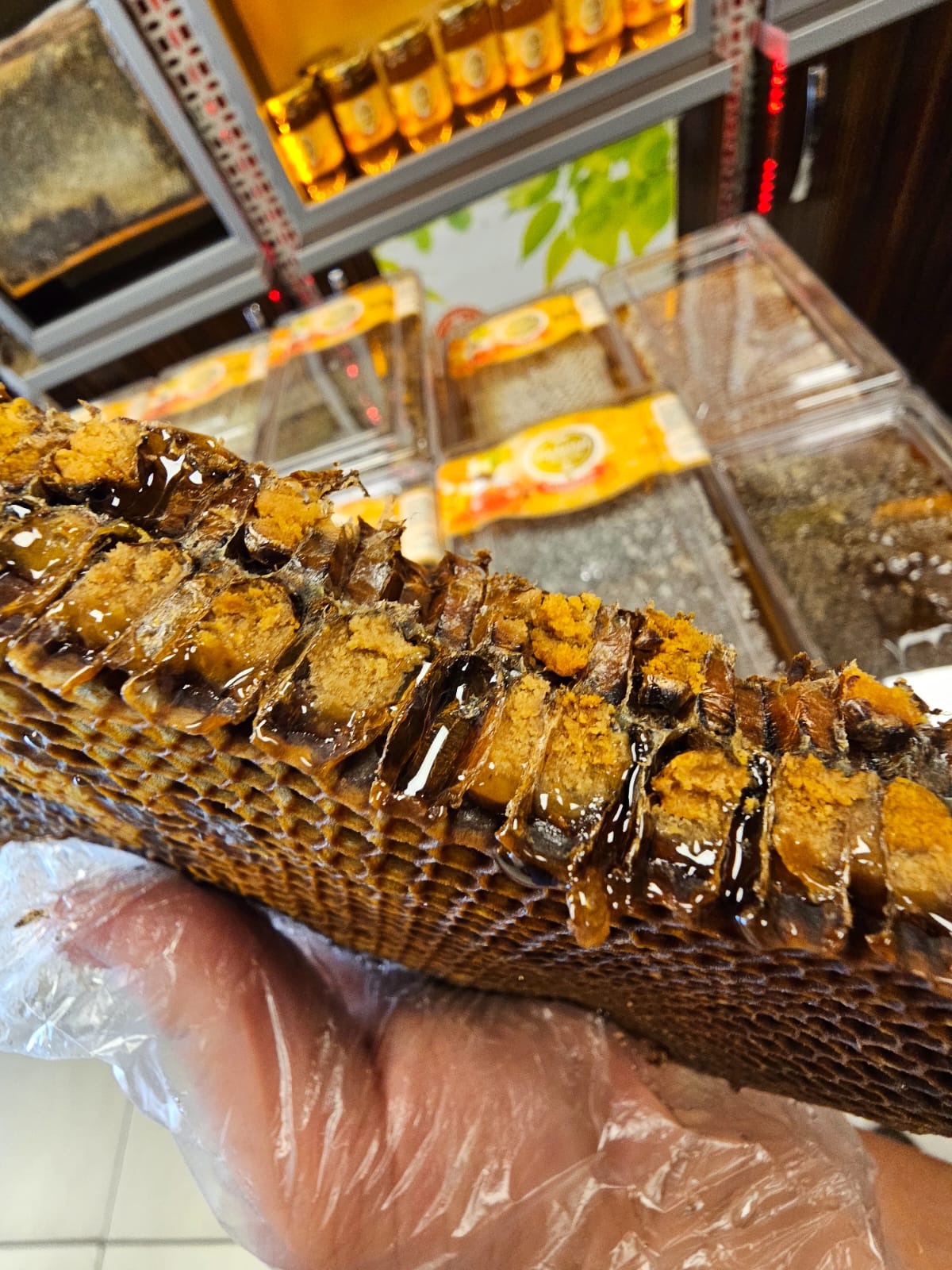 WhatsApp Image 2025-10-03 at 08.13.08 (2)